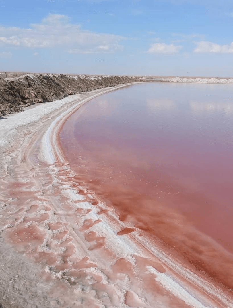 Pink salt lake in Namibian desert landscape
