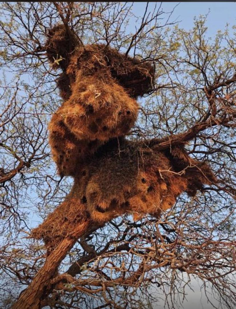 Adventure tours and outdoor activities in Namibia